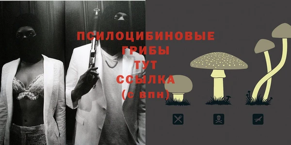 гашик Переславль-Залесский