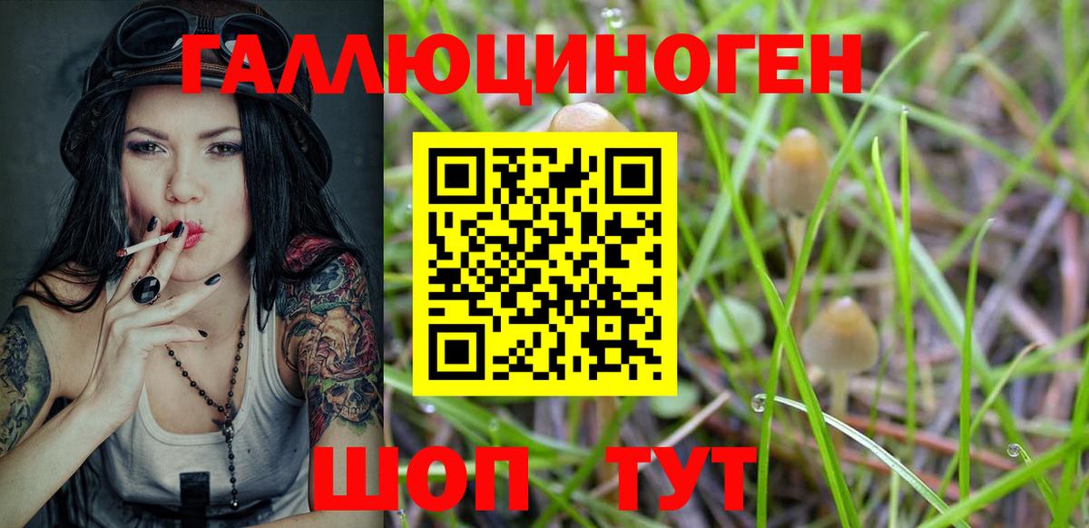 Киржач  дарнет шоп  Галлюциногенные грибы GOLDEN TEACHER  Вход с VPN  Галлюциногенные грибы мухоморы 